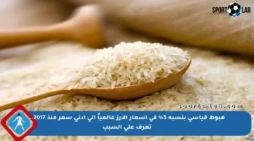 هبوط قياسي بنسبة 5% في أسعار الأرز عالمياً إلى أدنى سعر منذ 2017.. تعرف على السبب